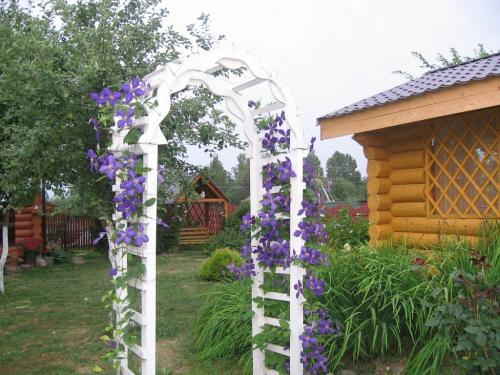 Арки в саду дизайн. Особенности, функции и виды садовых арок