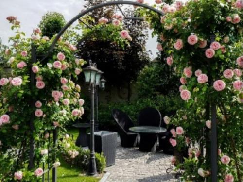 Арки для роз. Особенности