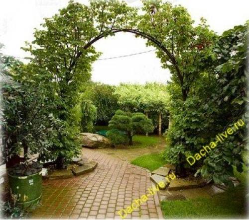 Как сделать садовую арку своими руками. Виды и размеры садовых арок 07 Как сделать садовую арку своими руками. Виды и размеры садовых арок 07
