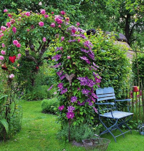 Деревянные арки в саду. Дерево, металл или ковка –, что выбрать?