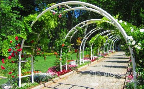 Арки для роз. Материалы для возведения арок и способы изготовления
