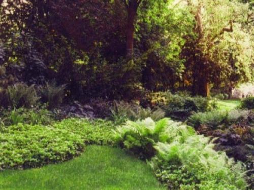 Газон для тенистых уголков сада. Характеристика 06 Газон для тенистых уголков сада. Характеристика 06