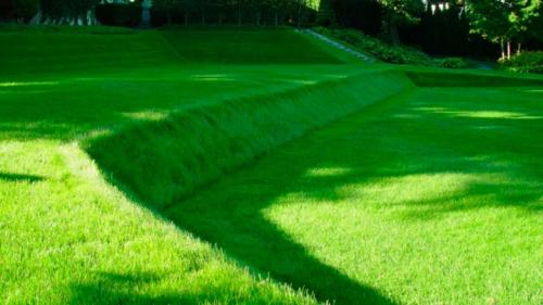 Газон для тенистых уголков сада. Характеристика 03 Газон для тенистых уголков сада. Характеристика 03