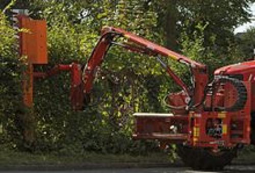 Как сформировать живую изгородь. Живая изгородь за месяц 07 Как сформировать живую изгородь. Живая изгородь за месяц 07