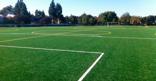 Какую газонную траву лучше посадить на даче. Какой газон лучше посадить на даче: описание и виды трав