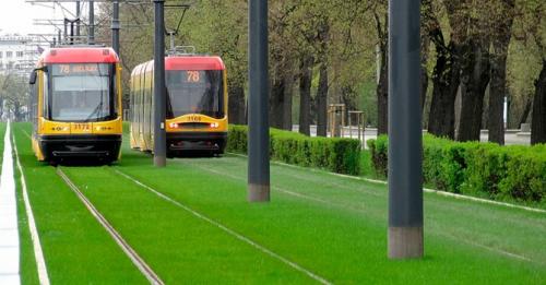 Какую газонную траву лучше посадить на даче. Какой газон лучше посадить на даче: описание и виды трав