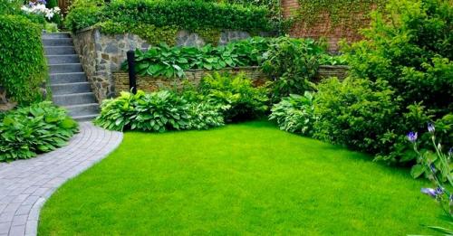 Какую газонную траву лучше посадить на даче. Какой газон лучше посадить на даче: описание и виды трав