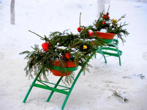 12 идей декора сада к Новому году. Новый год во дворе: как красиво украсить двор своими руками!