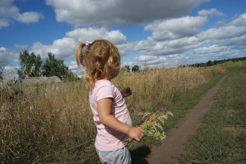 Можно ли спилить дерево за забором. Можно ли спилить дерево на своем участке: закон.