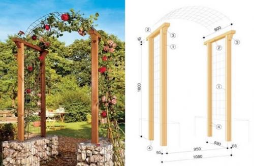 Нетрадиционные опоры для плетистых роз. Выбор сорта плетистой розы 04