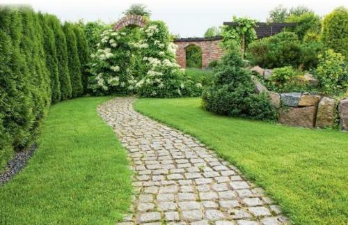 Ягодные кустарники для живой изгороди. Живые изгороди: топ-10 лучших быстрорастущих растений