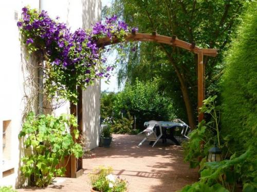 Как выбрать быстрорастущие вьющиеся растения для изгороди. Общие рекомендации желающим украсить забор, строения, участок.