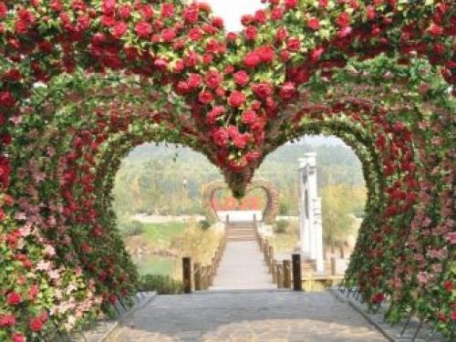 Как сделать опору и арку для плетистой розы своими руками. Проекты 08 Как сделать опору и арку для плетистой розы своими руками. Проекты 08