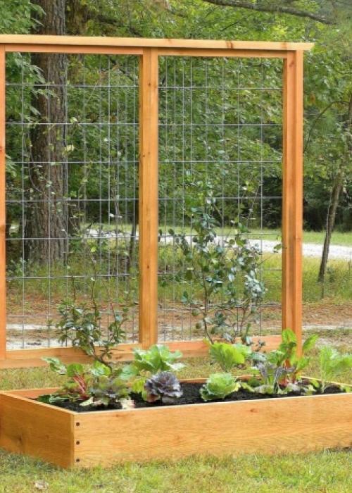 Шпалеры для роз своими руками. Виды опор 02 Шпалеры для роз своими руками. Виды опор 02