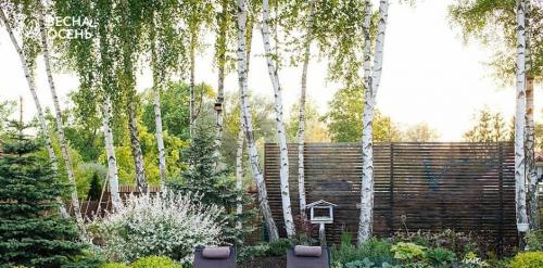 Быстрорастущие кустарники для озеленения. Какие выбрать кустарники? 10 Быстрорастущие кустарники для озеленения. Какие выбрать кустарники? 10