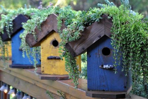 Идеи для декора дачи. 90 идей украшений для сада своими руками (фото)