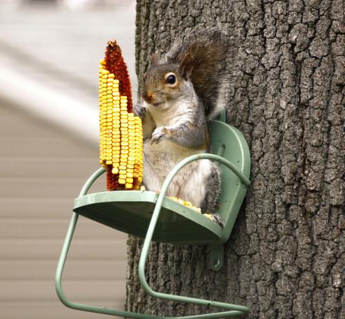 Украшения для сада из дерева. Необычные украшения для сада своими руками (100+ идей): оригинальные задумки и пошаговая реализация