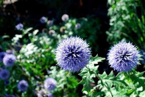 55 увлекательных идей для украшения сада своими руками. Сад своими руками: 80 интересных идей для дачи 07 55 увлекательных идей для украшения сада своими руками. Сад своими руками: 80 интересных идей для дачи 07