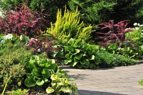 ТОП-22 декоративных Кустарника для дачи. ТОП-20 декоративных кустарников для дачи 23 ТОП-22 декоративных Кустарника для дачи. ТОП-20 декоративных кустарников для дачи 23