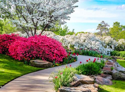 Декоративные кустарники с красивыми листьями. Многолетние декоративные кустарники для дачи – названия и описания, фото