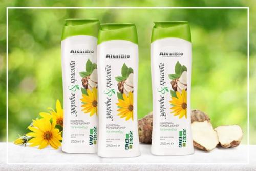 Топинамбур, как живая изгородь. Применение топинамбура