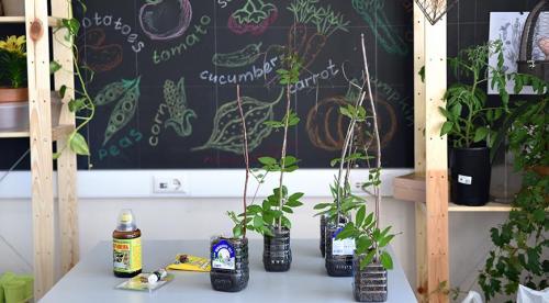 Лучшие вьющиеся однолетники для сада. Зачем нужны опоры 06 Лучшие вьющиеся однолетники для сада. Зачем нужны опоры 06