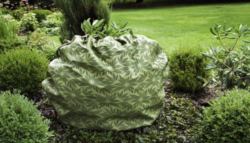 Как правильно ухаживать за вечнозелеными растениями. Вечнозеленые изгороди 02