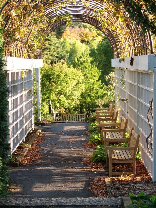 Все о деревянных перголах. Пергола из дерева – пошаговая инструкия + схема сборки 08 Все о деревянных перголах. Пергола из дерева – пошаговая инструкия + схема сборки 08