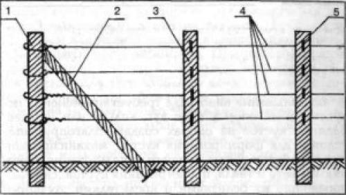 Шпалера для винограда. Одноплоскостная шпалера для винограда