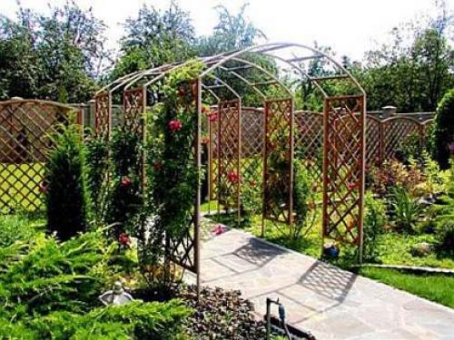 Живые изгороди из роз. Какие розы подойдут для создания живой изгороди? 05