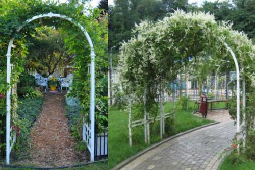 Арка для вьющихся растений своими руками. Как сделать арку из пластиковых труб в саду