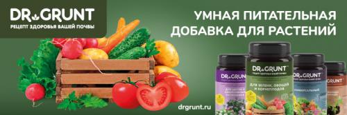 Арка для вьющихся растений своими руками. Как сделать арку из пластиковых труб в саду